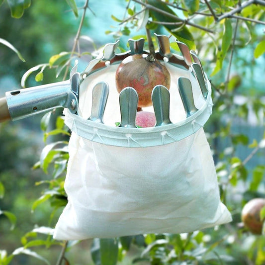 Metal fruit picker head with catch basket